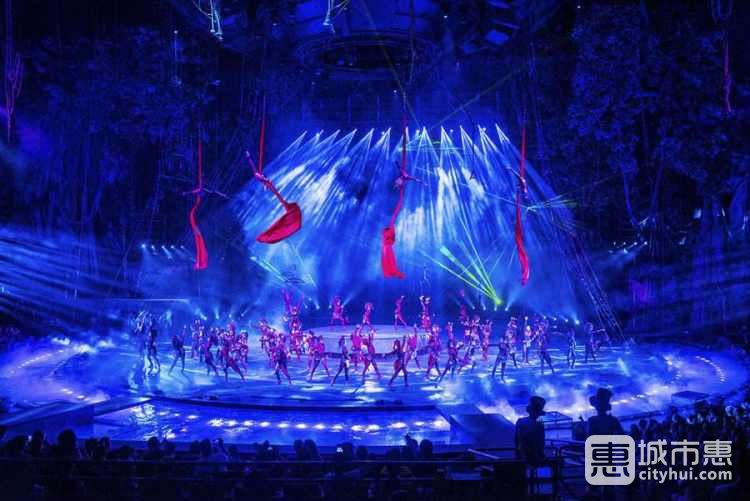 長(zhǎng)隆國(guó)際大馬戲