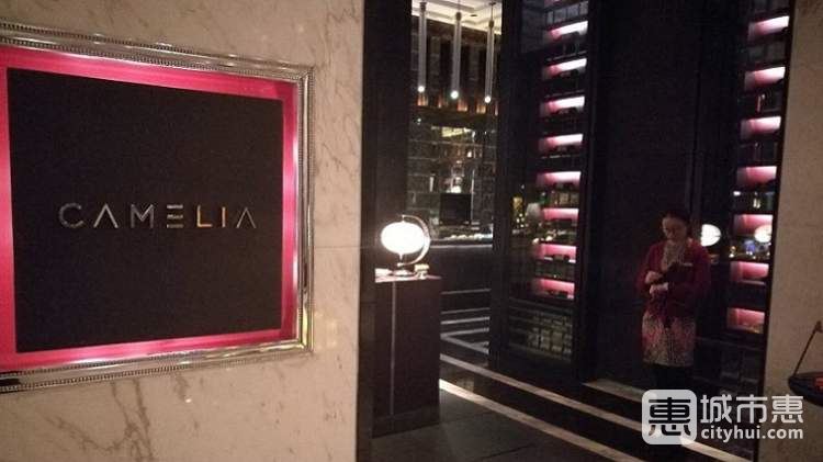 浦東四季酒店-Camelia