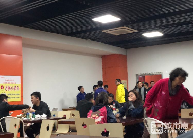 老楊小黃魚(yú)